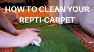 Read more about the article How to Clean Reptile Carpet: Ultimate Guide for Pet Owners