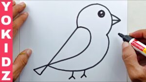 Read more about the article How to Draw a Bird: Step-by-Step Guide for Beginners
