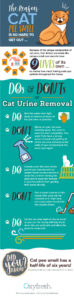 Read more about the article How to Get Cat Pee Out of Carpet: Proven Tips and Tricks