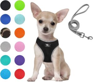Read more about the article Pet Harness for Small Dogs: Ultimate Safety and Comfort Guide